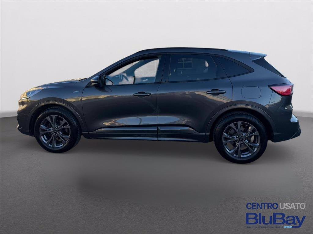 FORD Kuga 1.5 EcoBlue 120 CV 2WD ST-Line