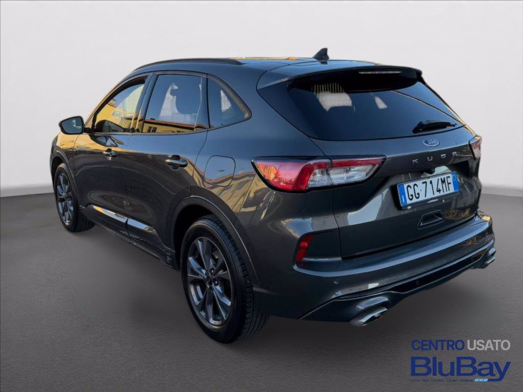 FORD Kuga 1.5 EcoBlue 120 CV 2WD ST-Line