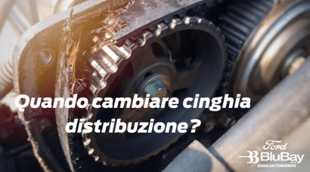 Quando Cambiare Cinghia Distribuzione