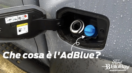 Che Cosa È Ladblue