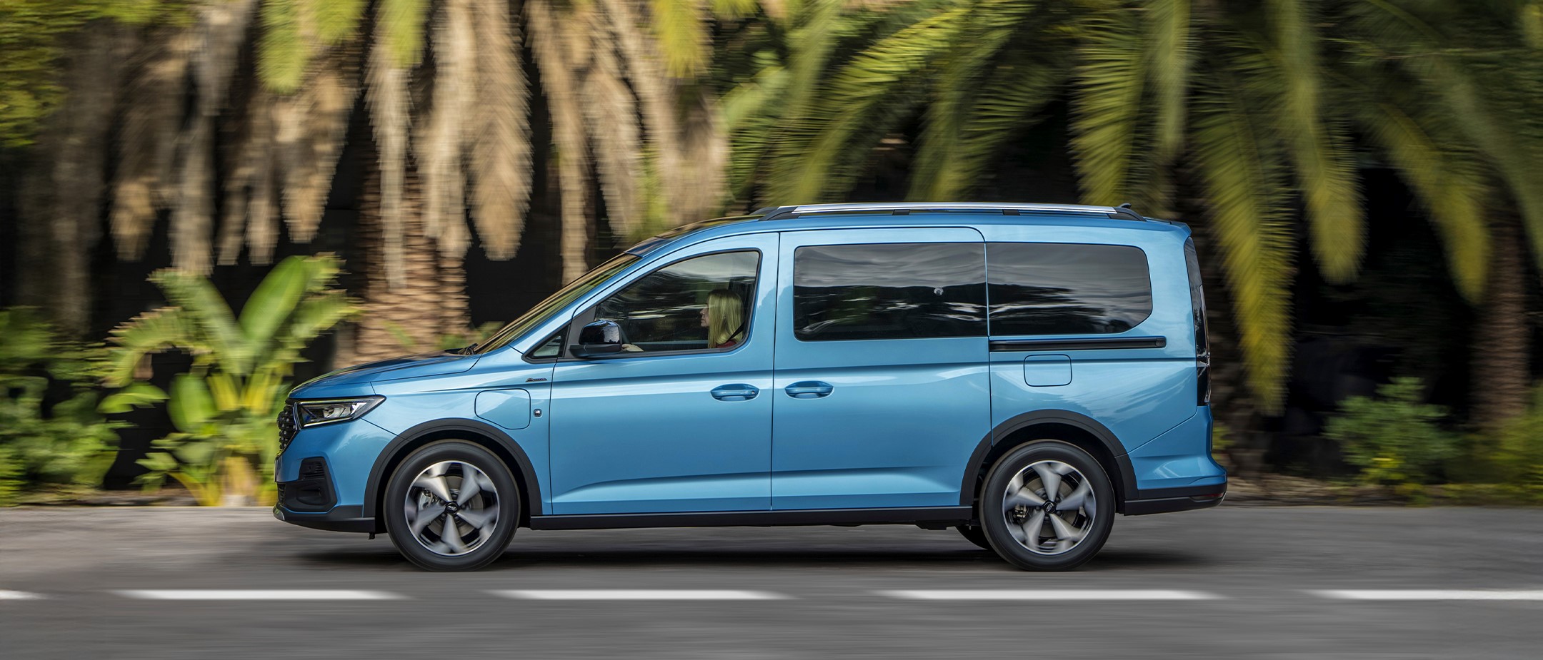 Plug In Hybrid