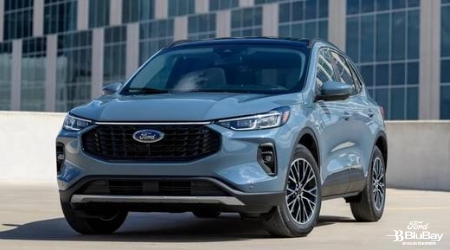 Ford Escape Libertà Su Quattro Ruote Min